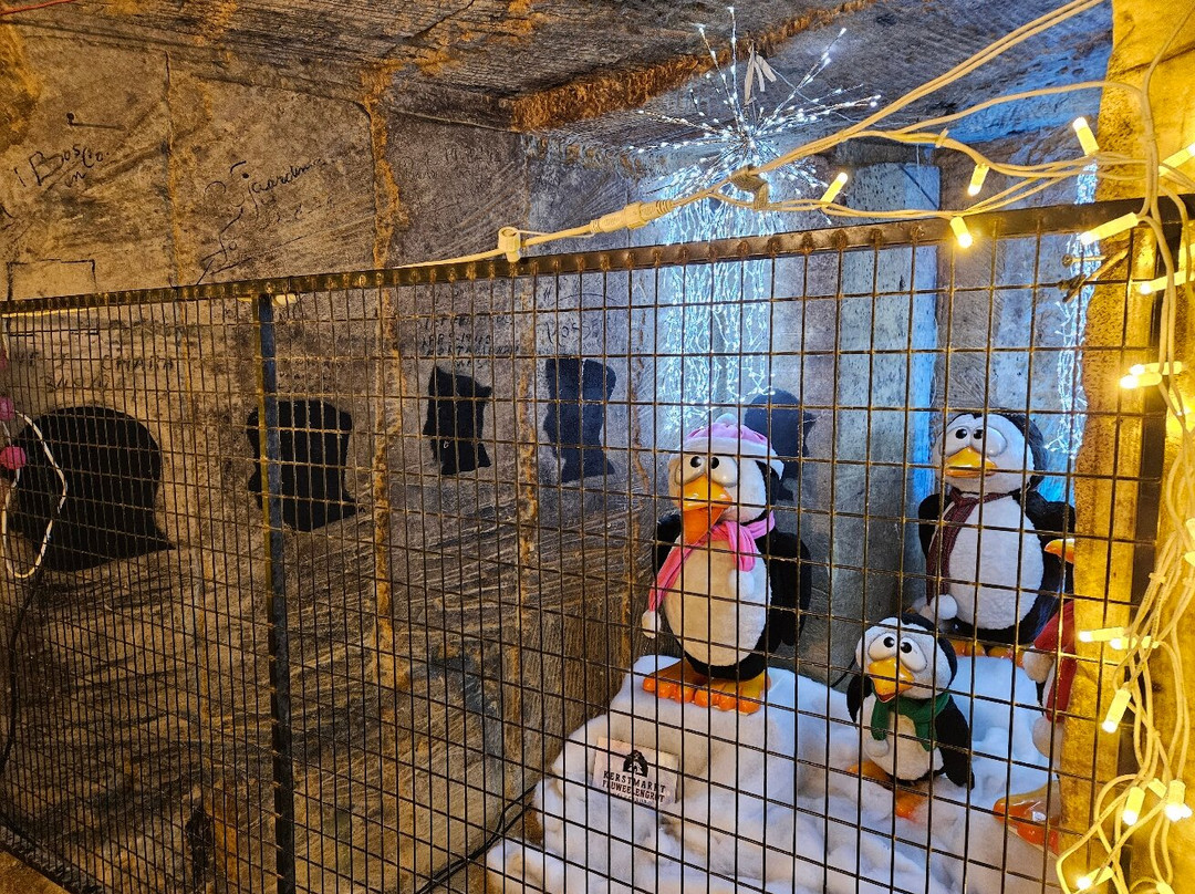 Gemeentegrot Valkenburg-法肯堡必去景点