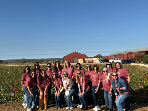 Texas Wine Tours-弗雷德里克斯堡必去景点