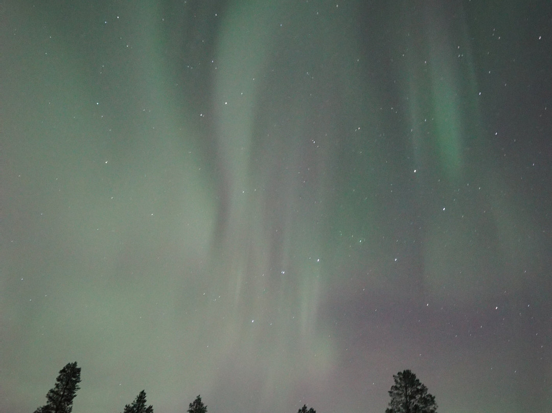 Arctic Timetravels-撒利塞卡必去景点