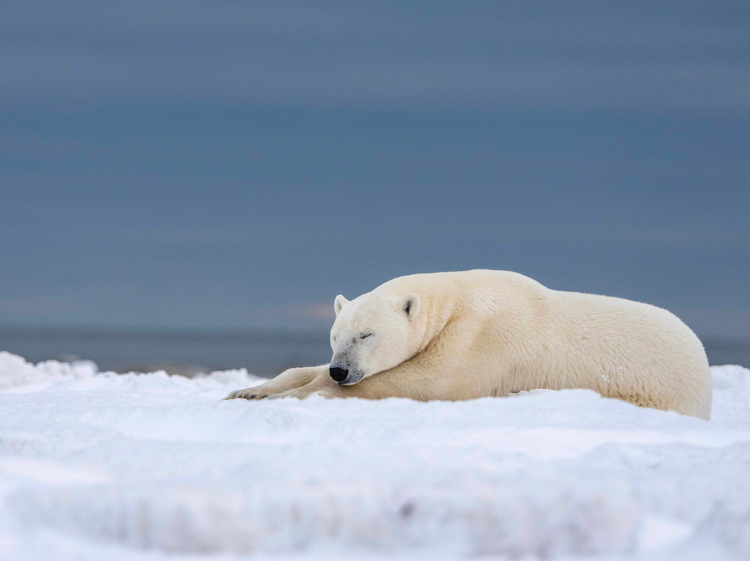 Discover Churchill Tours-丘吉尔必去景点