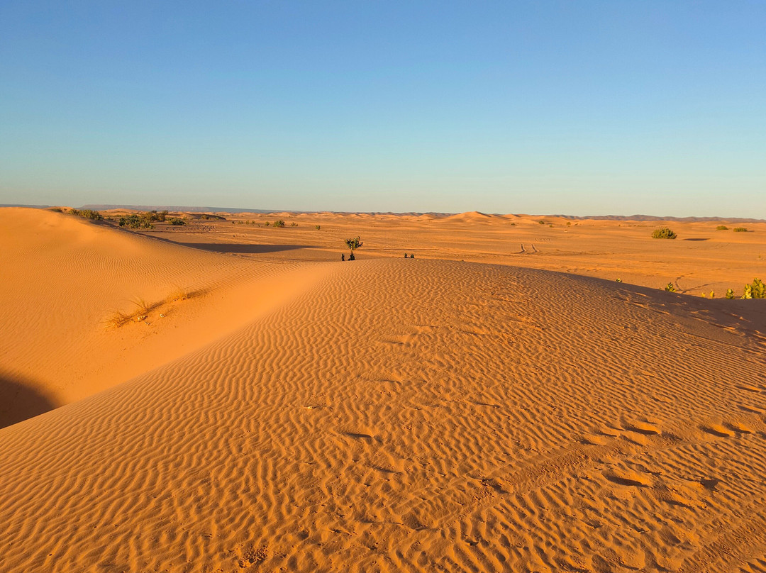 Fes Excursion Day Tours-非斯必去景点