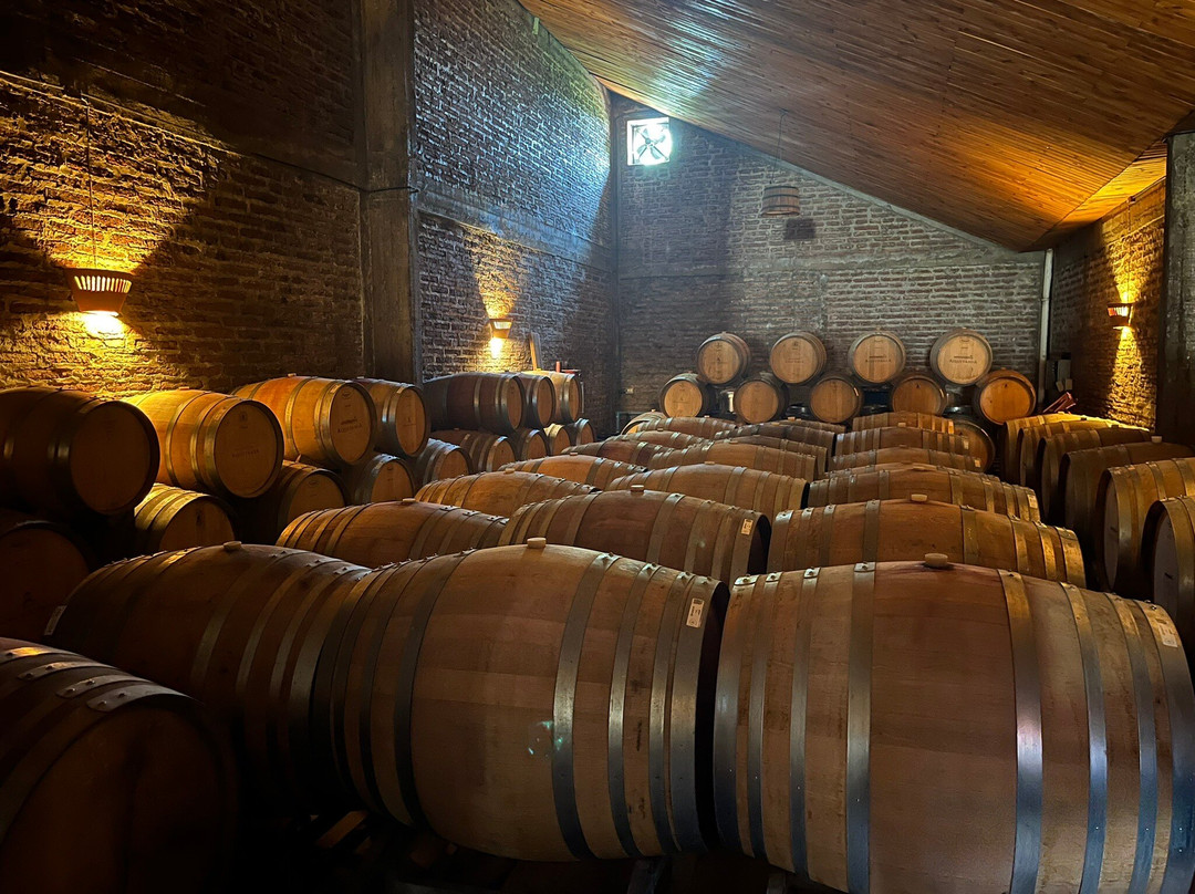 Vina Aquitania-圣地亚哥必去景点