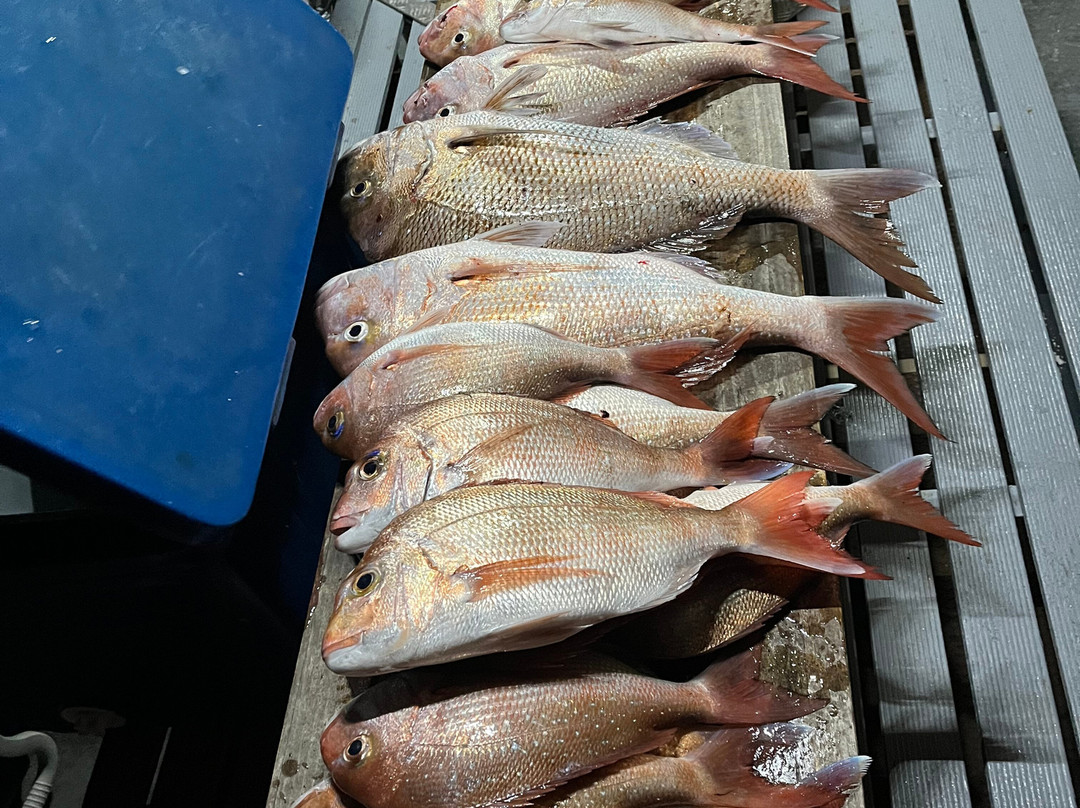 Freetime Adventure Charters-Portarlington必去景点