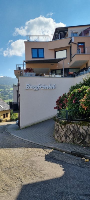 Wein- Und Klimahotel Bergfriedel-官方