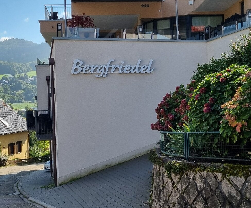 Wein- Und Klimahotel Bergfriedel主图