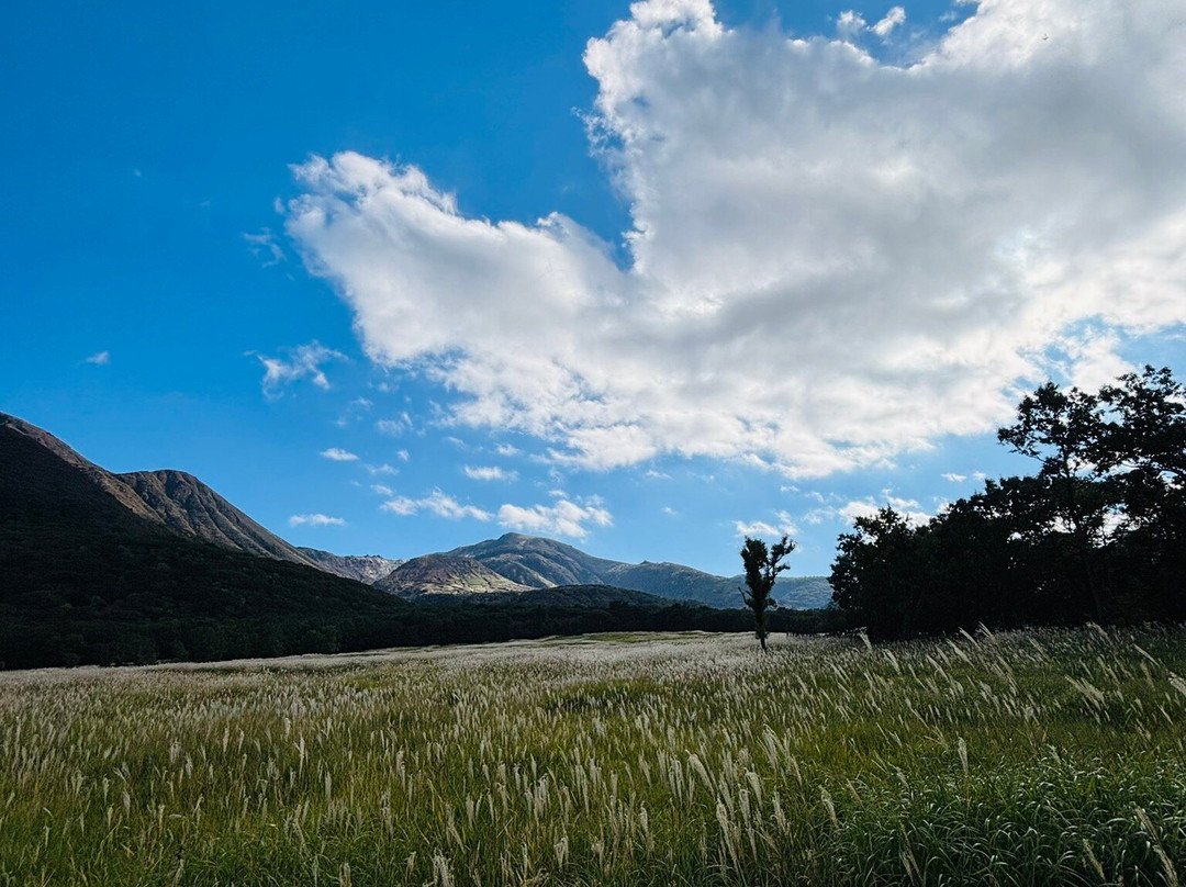 Tadewara Wetlands-九重町必去景点