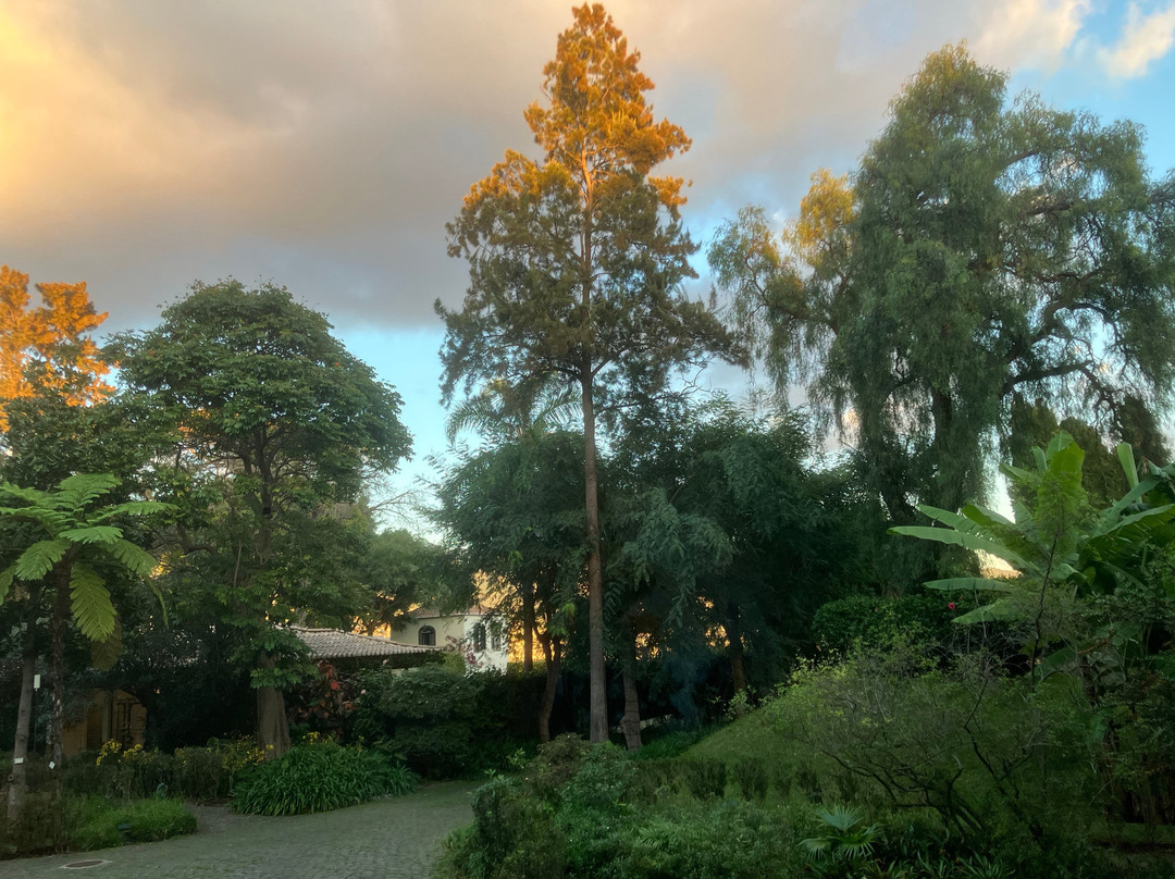 Quinta da Bela Vista主图