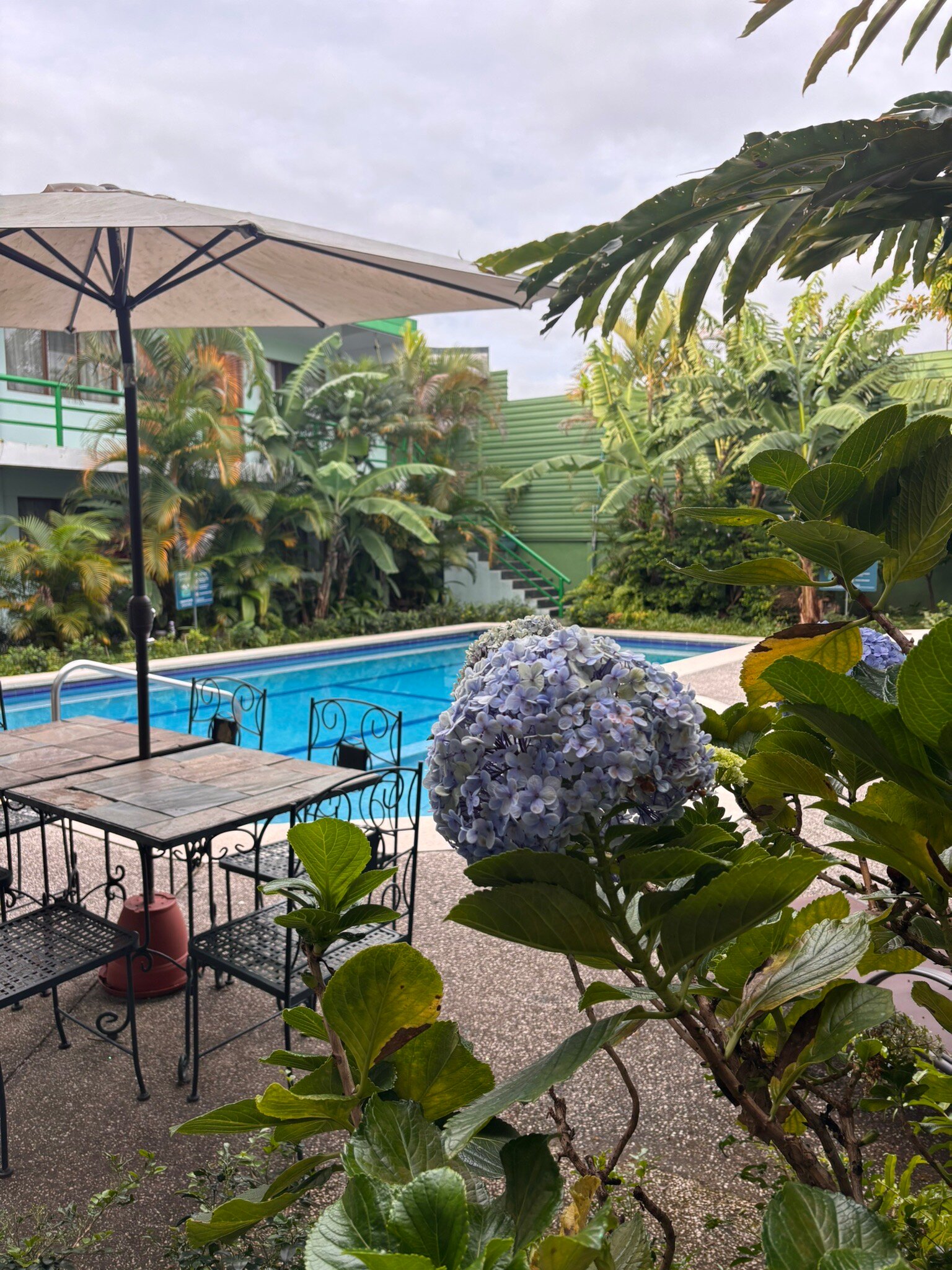 Soluxe El Sesteo-官方