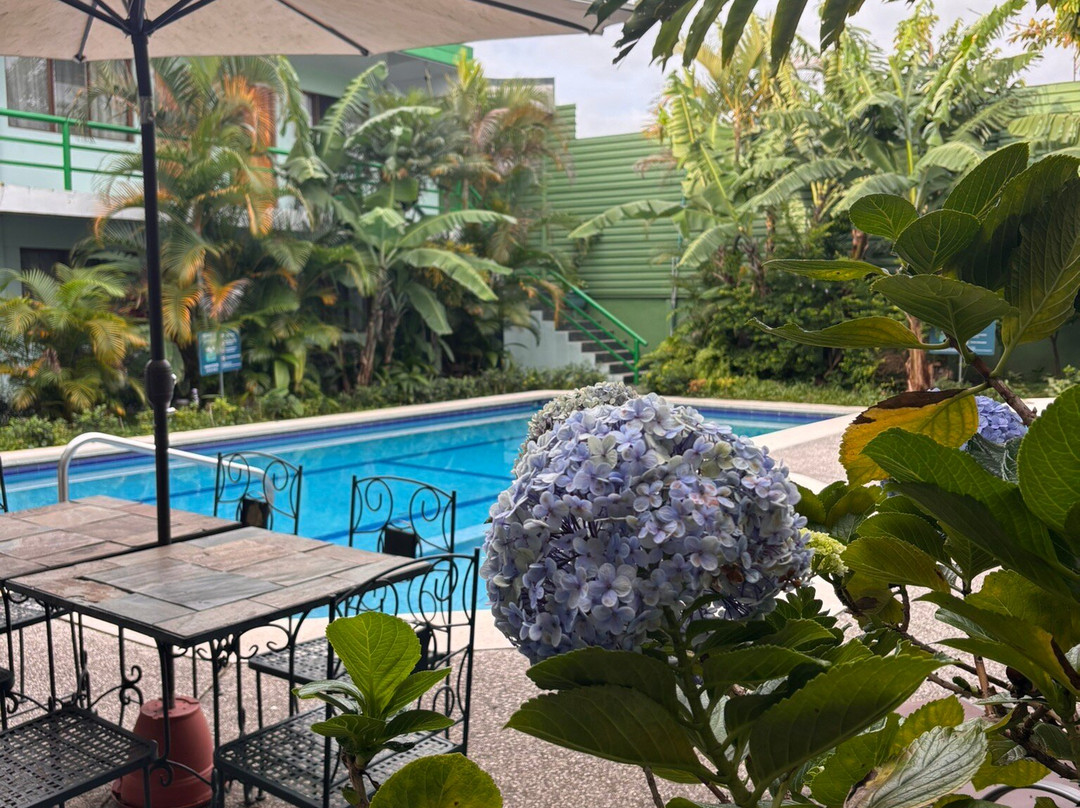 Soluxe El Sesteo主图