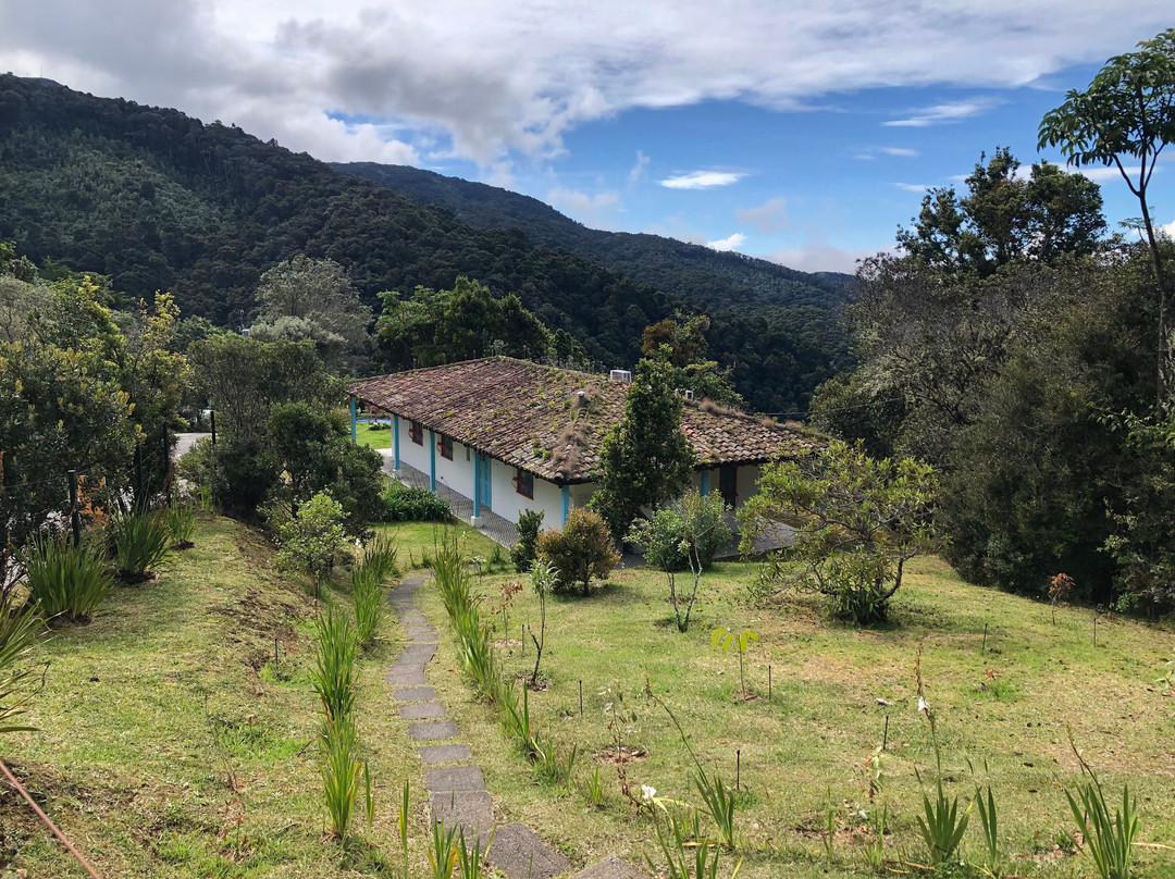 C. R. Referrals Travel-Atenas必去景点