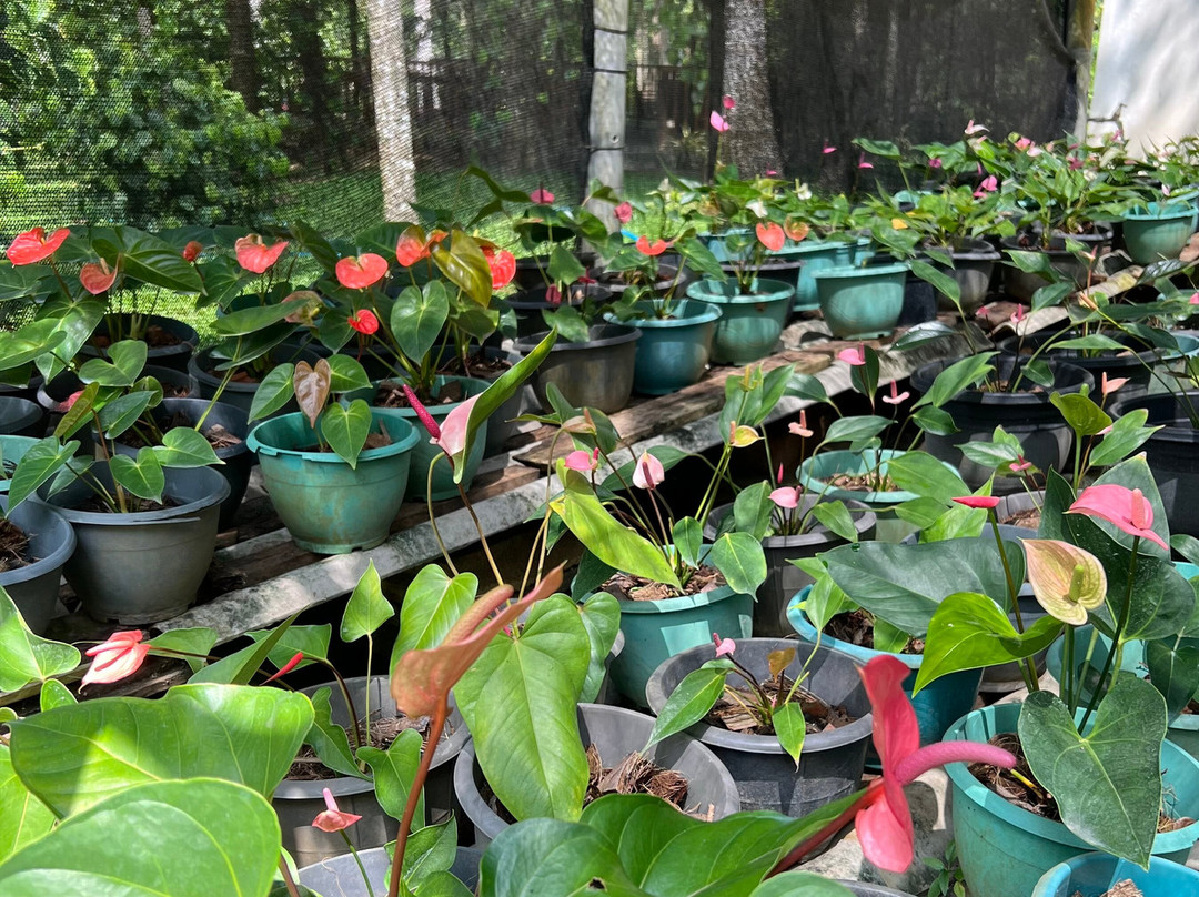 Wild Lake Side Holiday Resort主图