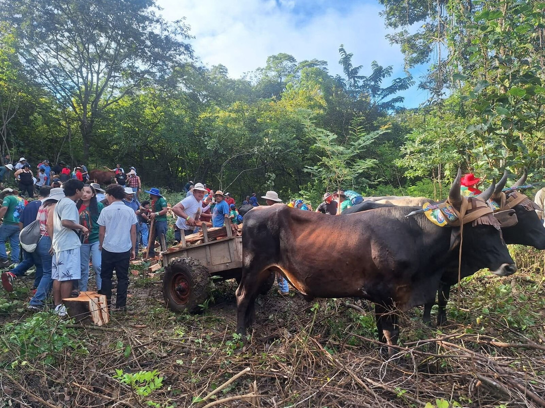 Genuine Costa Rica-Playas del Coco必去景点