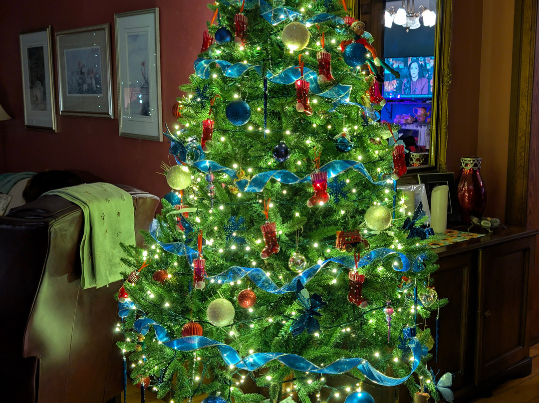 Bondy House Bed & Breakfast主图