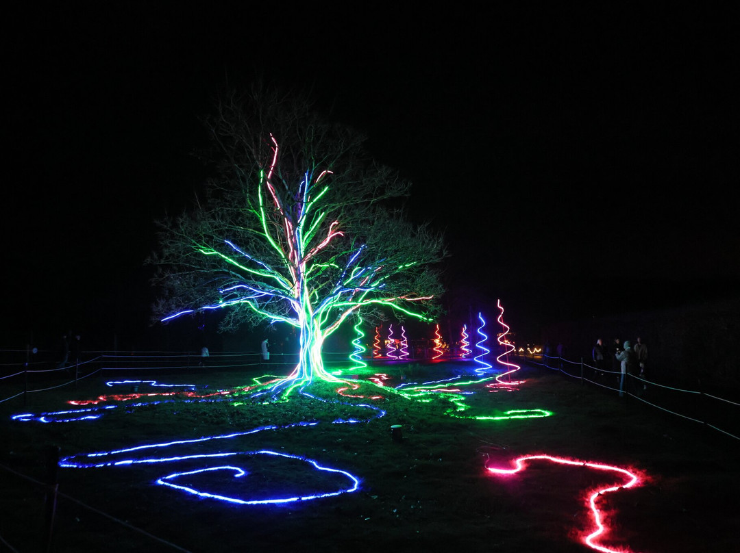 Marwell Zoo-温彻斯特必去景点