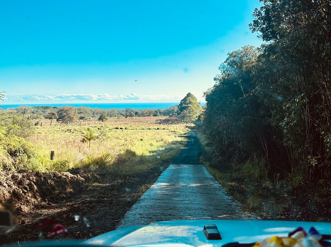 Ohana Ranch-山景城必去景点