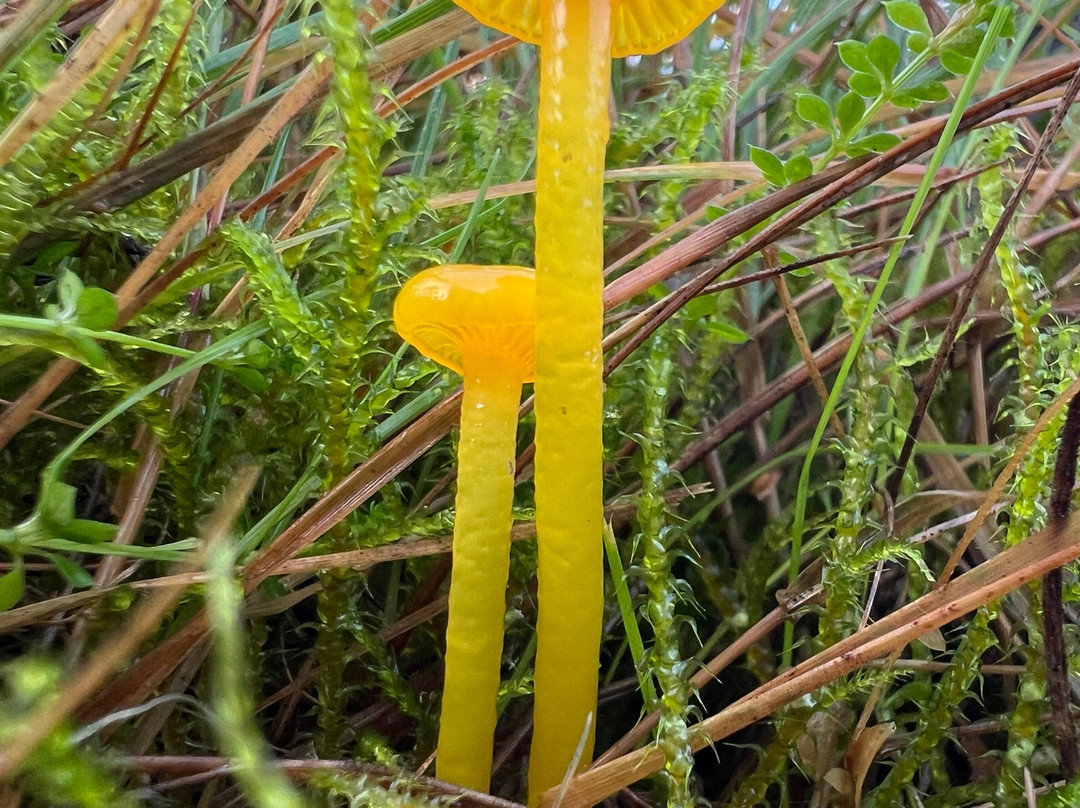 Hepple Wilds Estate-Rothbury必去景点