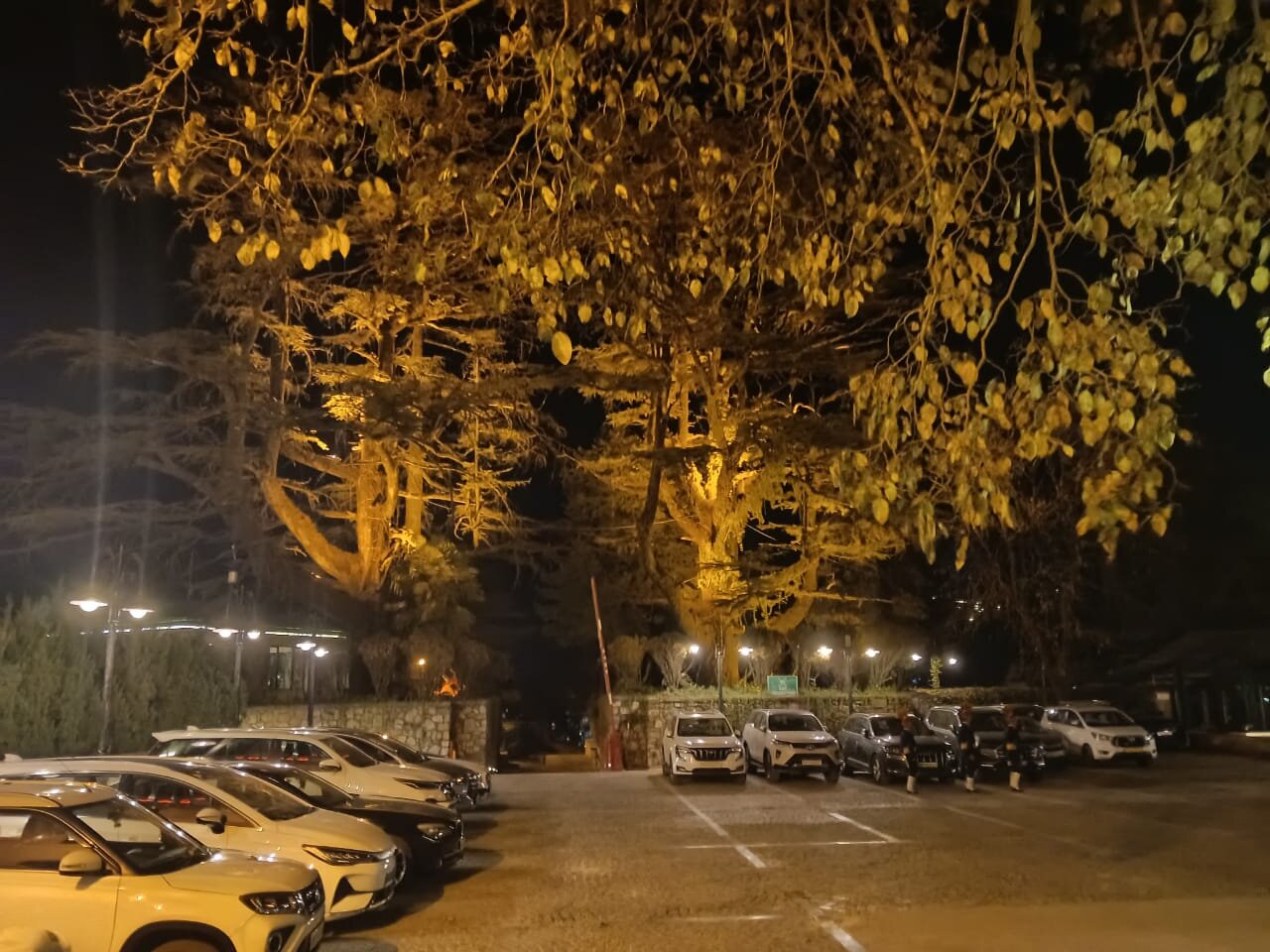 Welcomhotel By ITC Hotels, The Savoy-官方