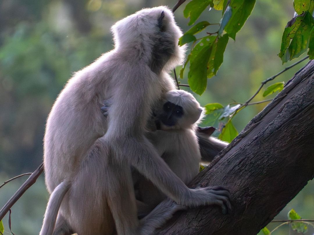 Travel Fair India - Day Tours-新德里必去景点