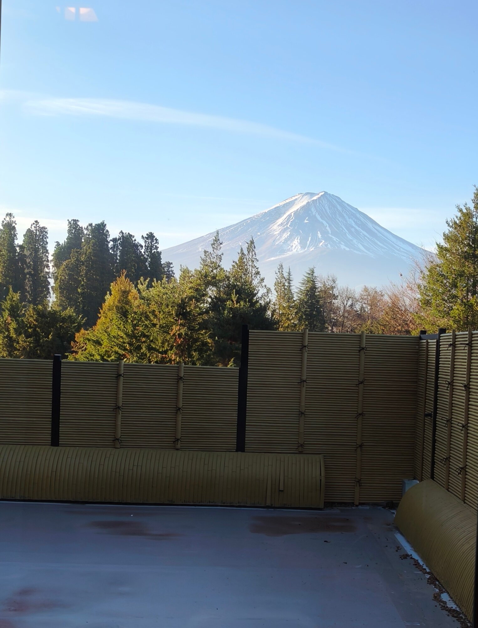 若草之宿丸荣-官方