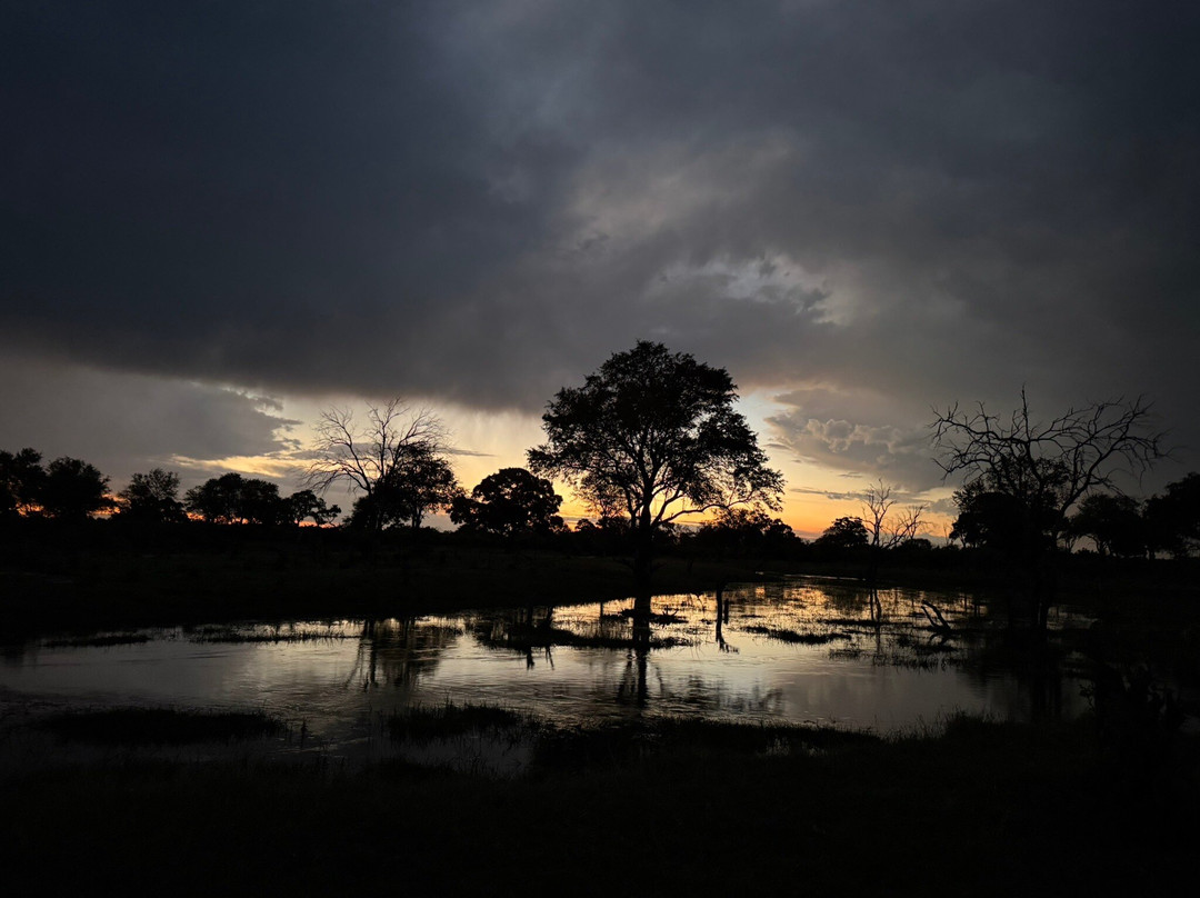 Gondwana Tours & Safaris-马翁必去景点