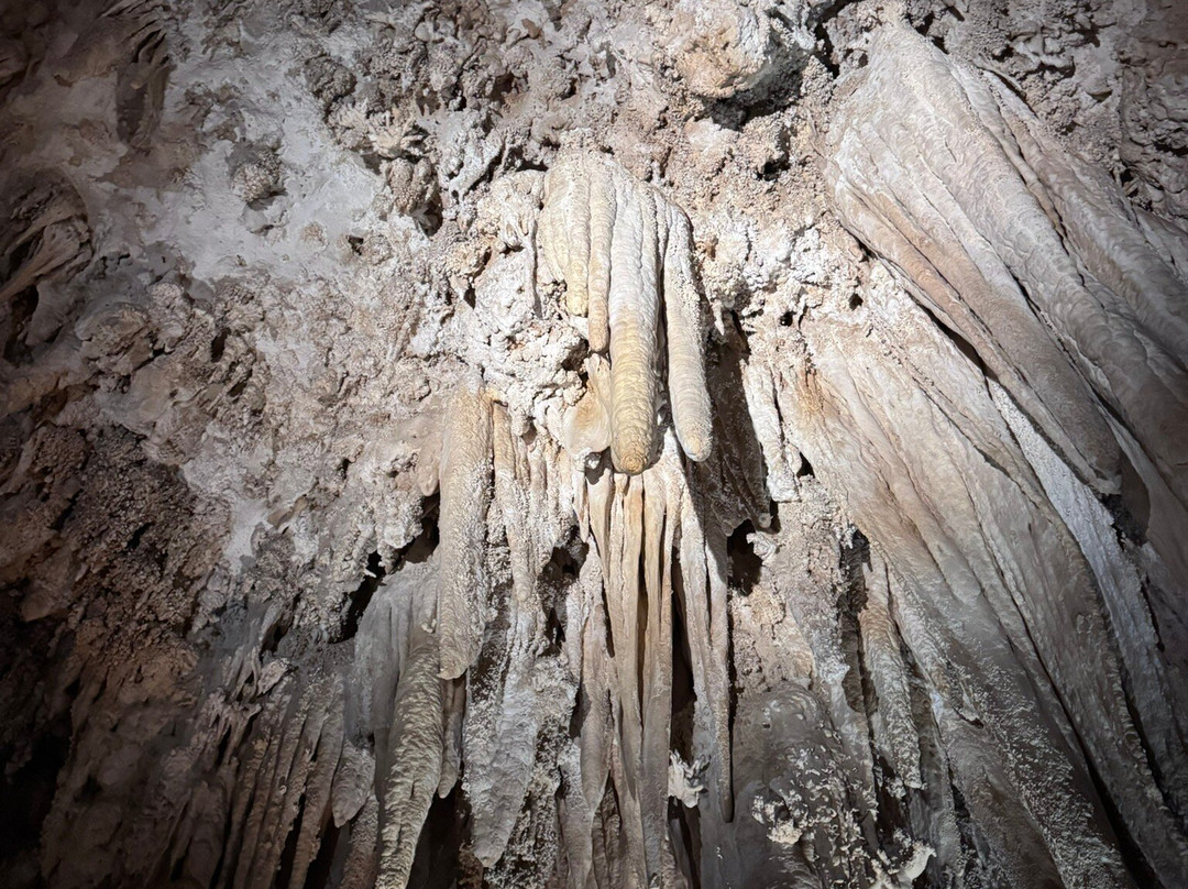 Carlsbad Caverns National Park Visitor Center-卡尔斯巴德洞穴国家公园必去景点