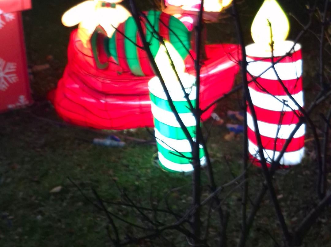 Yorkshire Wildlife Park-Auckley必去景点