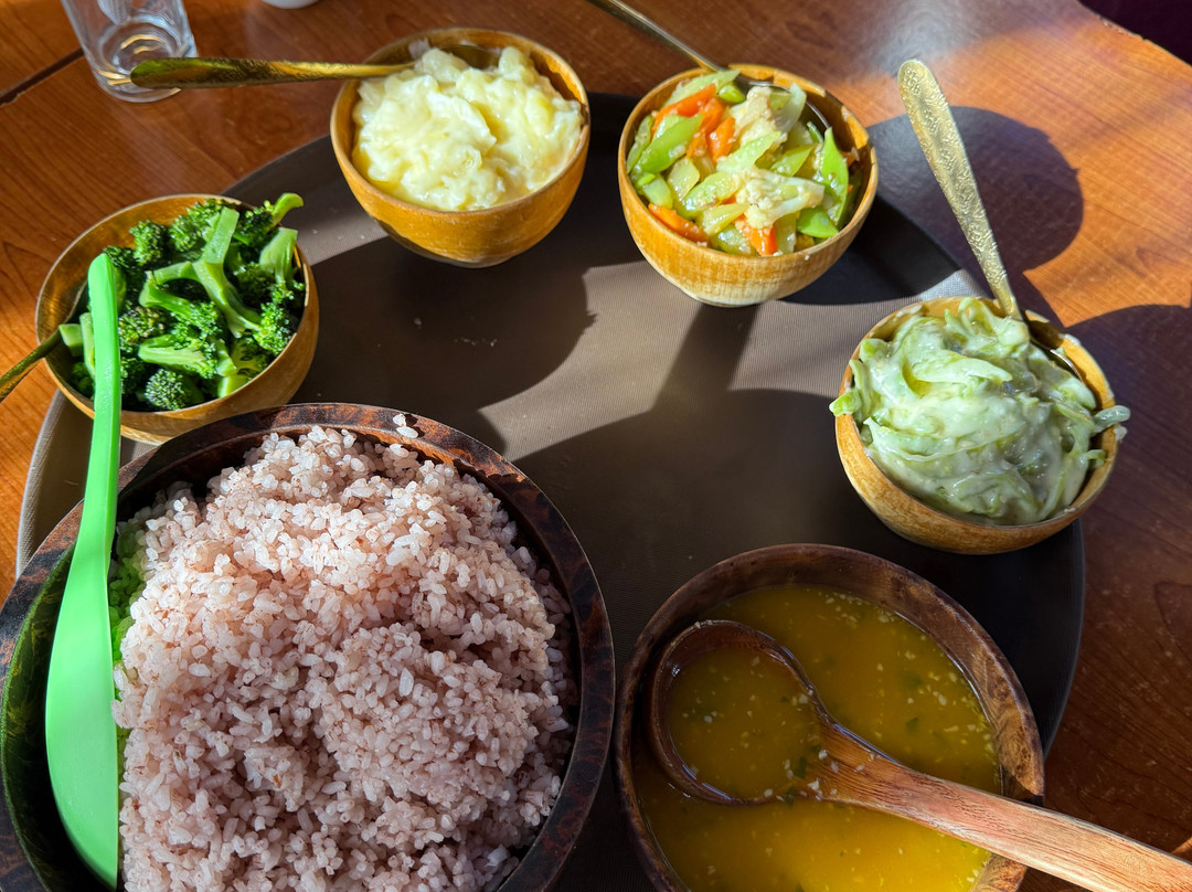 GEMINI TOURS  TRAVELS-Jaigaon必去景点