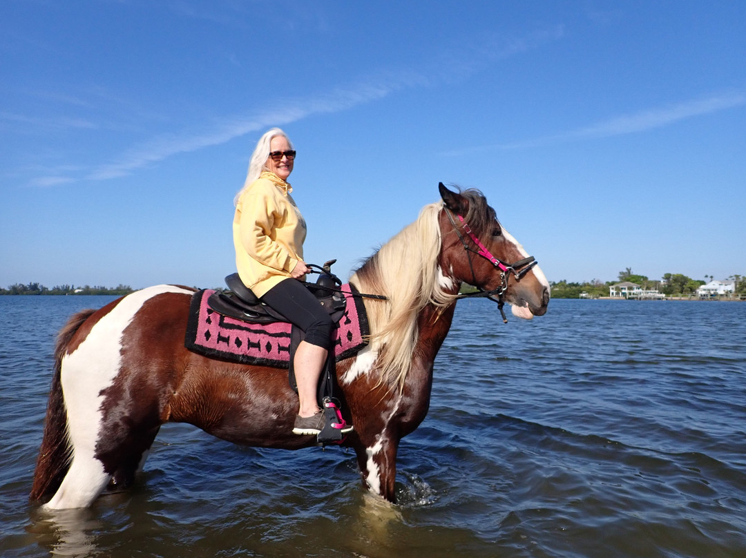 C Ponies Beach Horseback Rides-布雷登顿必去景点
