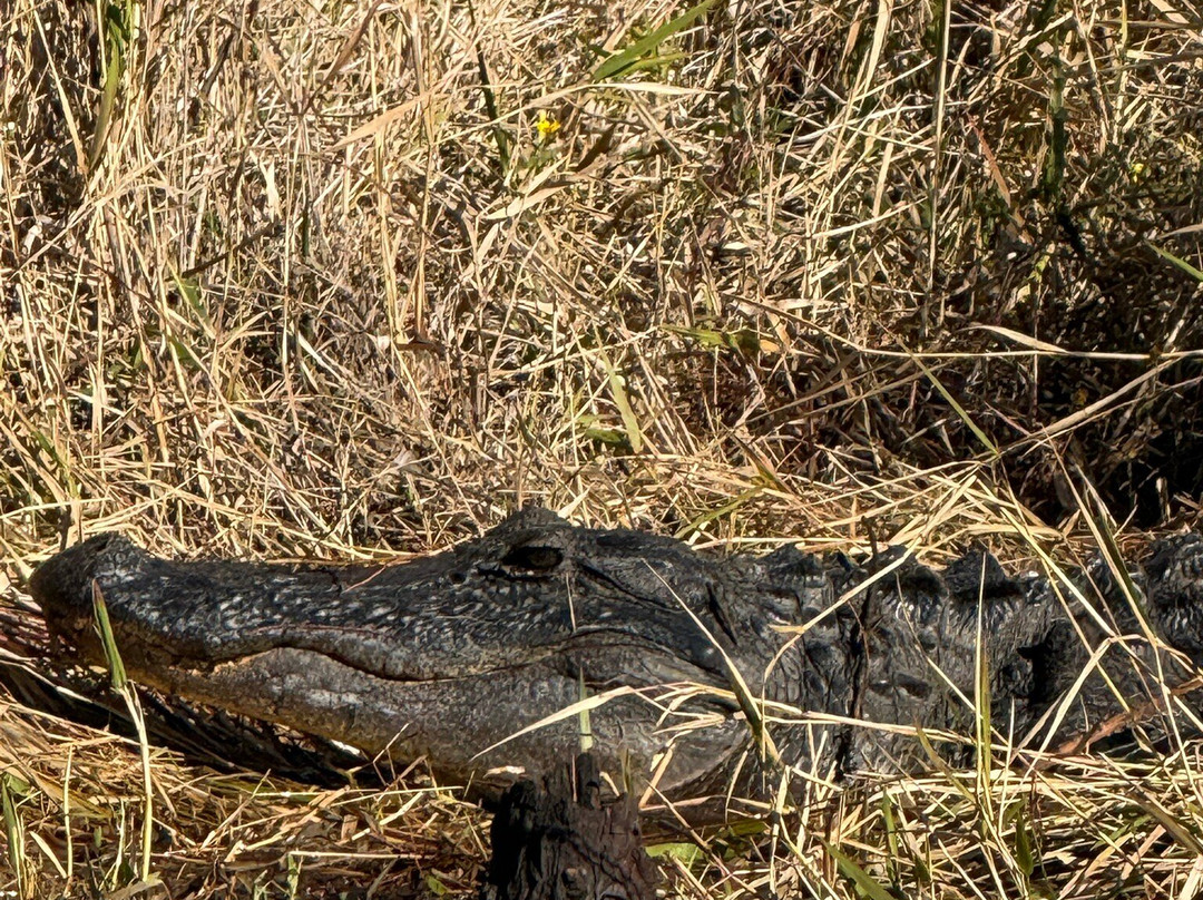 Okefenokee Adventures-Folkston必去景点