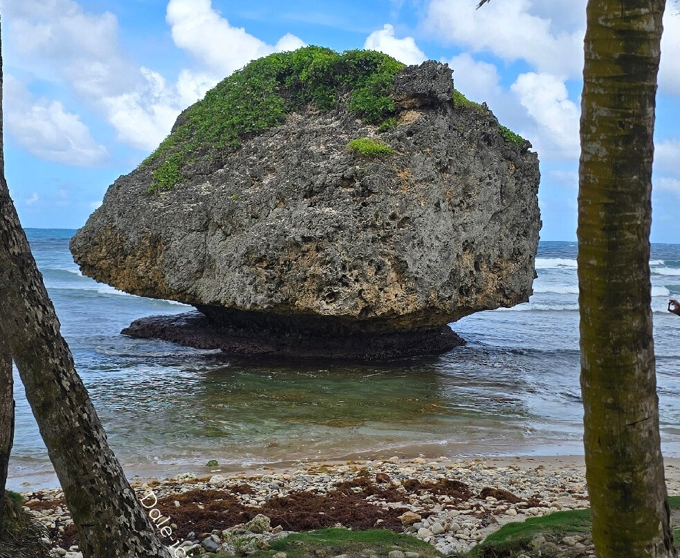 Bathsheba Beach-Bathsheba必去景点