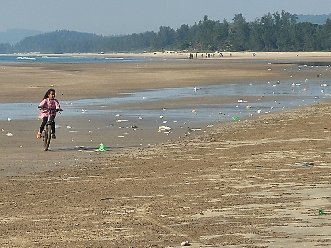 Shri Murdeshwara Beach-Murdeshwar必去景点