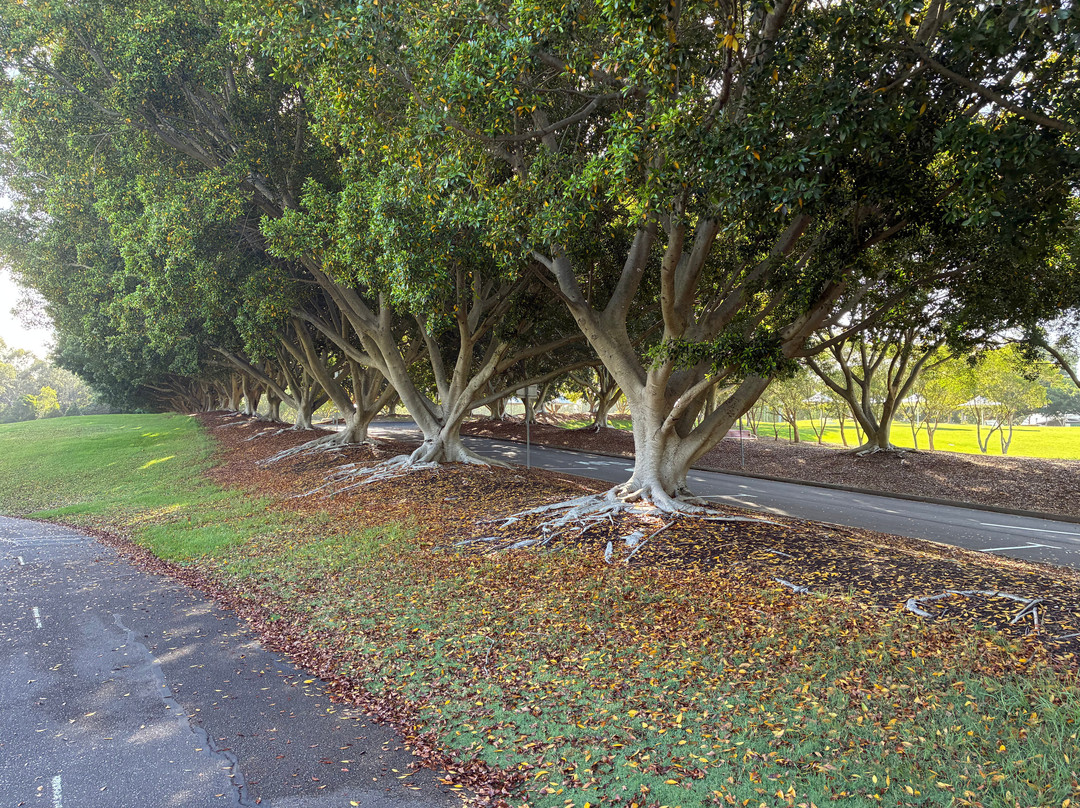 Bicentennial Park-Sydney Olympic Park必去景点