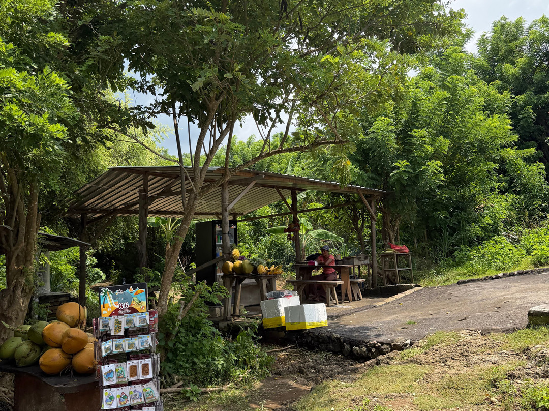 Lovina Bali Transport-新加拉惹必去景点