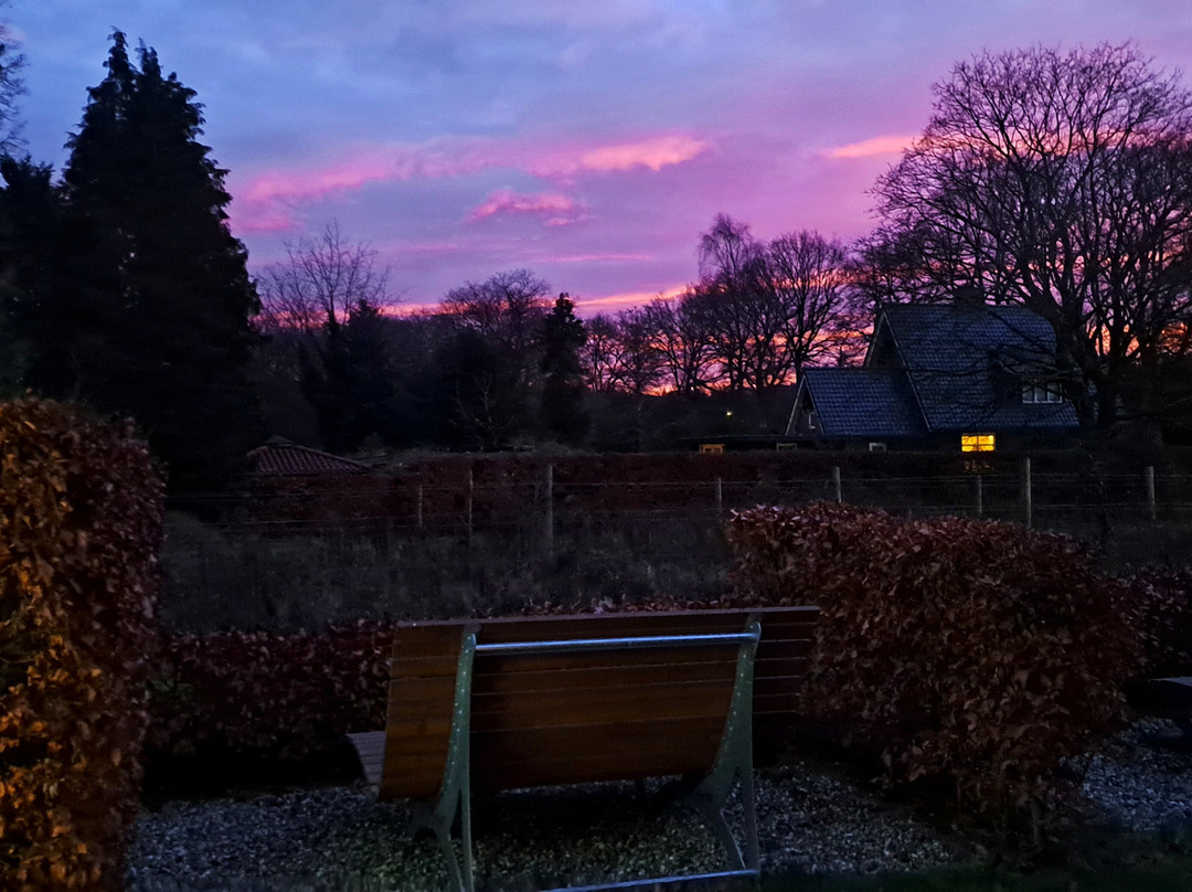 斯特仁堡精品酒店主图