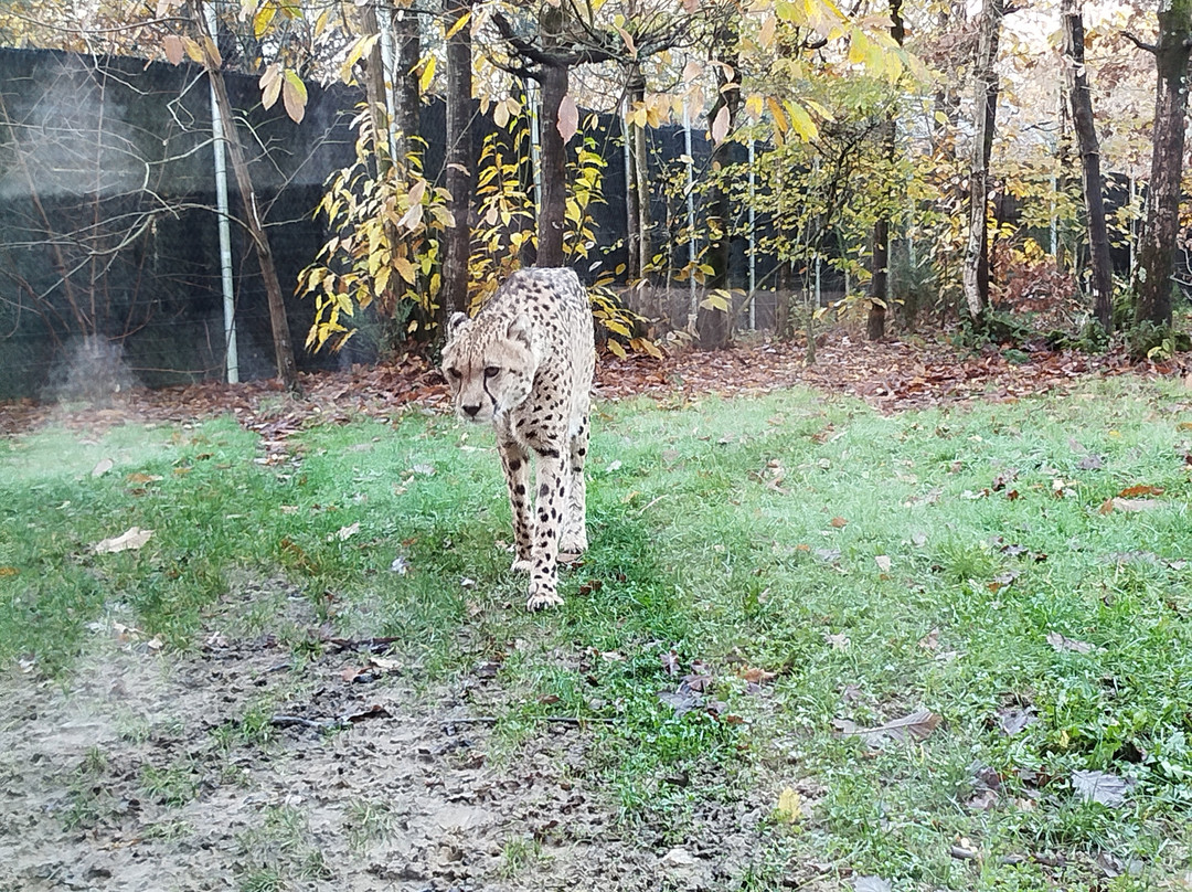 Planète Sauvage-Port-Saint-Pere必去景点