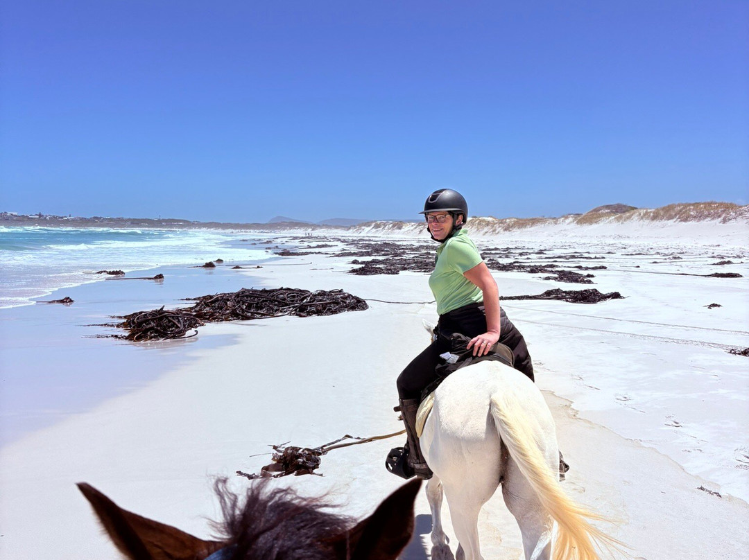 Gansbaai & Pearly Beach Horse Trails-干斯拜必去景点