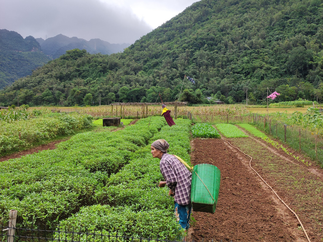 Đăng Khoa Tour-河内必去景点