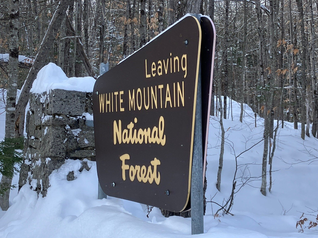 Northern Extremes Snowmobiling-巴特利特必去景点