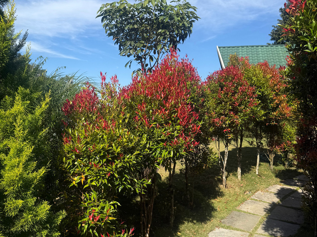 Aveda Mountains And Mist - Munnar主图