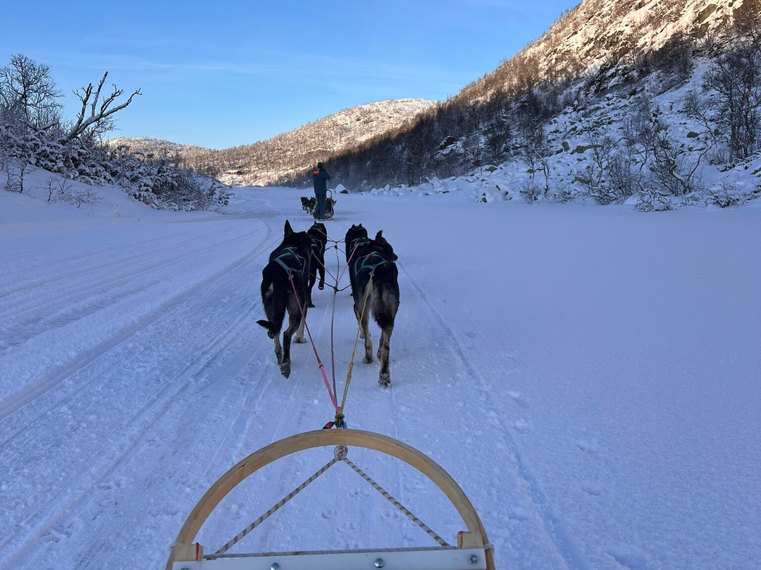 Haukeli Husky-Rauland必去景点