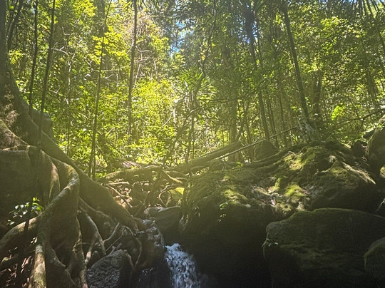 Masoala Safaris-Maroantsetra必去景点