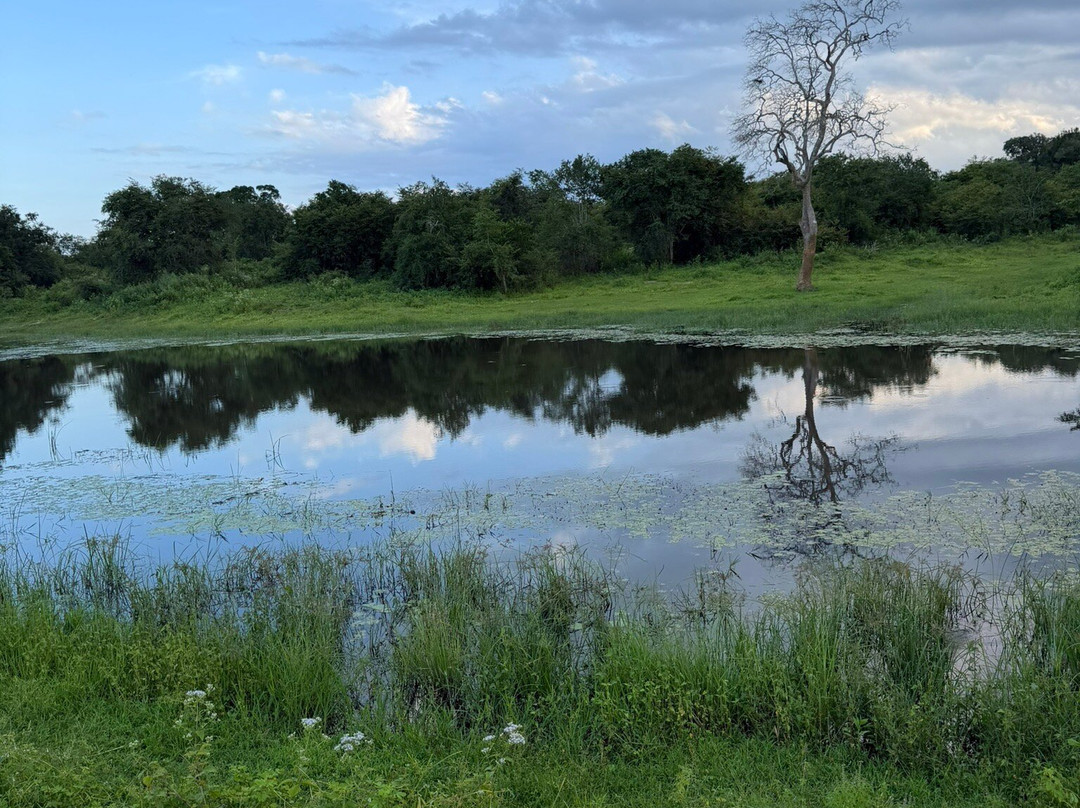 Niluka Safari-乌达瓦拉瓦必去景点