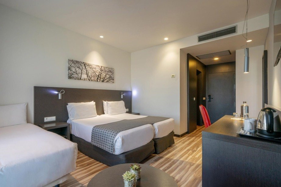 欧洲之星阿里纳斯德平托酒店