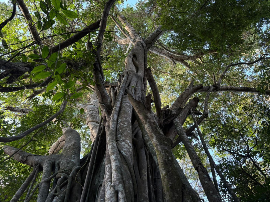CHUCHINI Amazon Wildlife Reserve & Eco Lodge-Trinidad必去景点