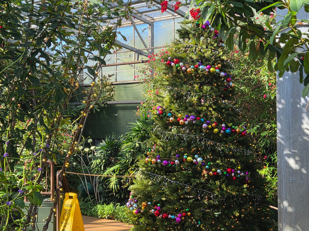 Butterfly Wonderland-斯科茨代尔必去景点