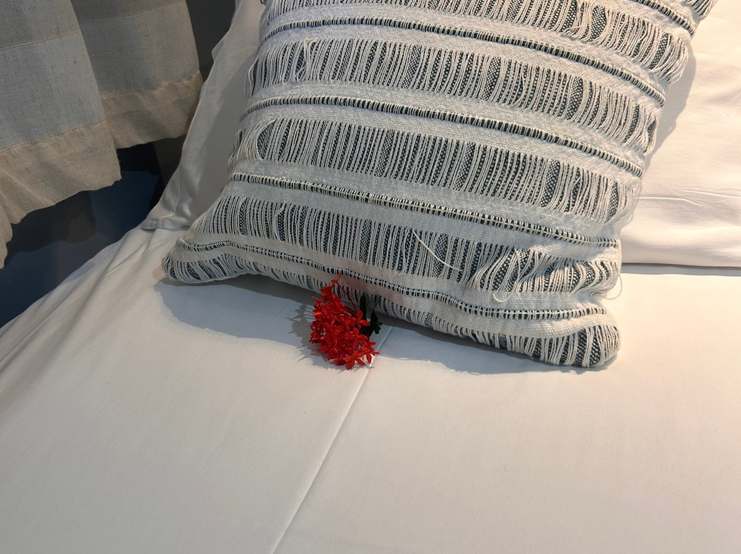 Pousada Rancho das Dunas主图