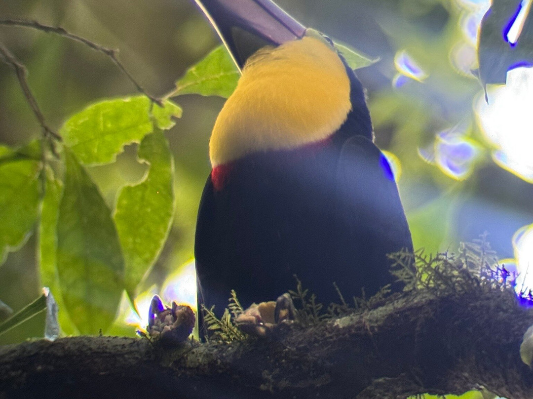 COSTA RICA TRAVELLING TOURS-圣何塞必去景点