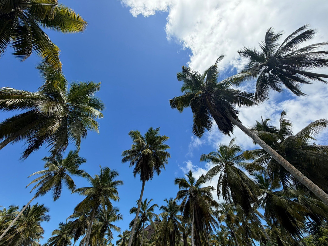 Union Estate Park-拉迪格岛必去景点