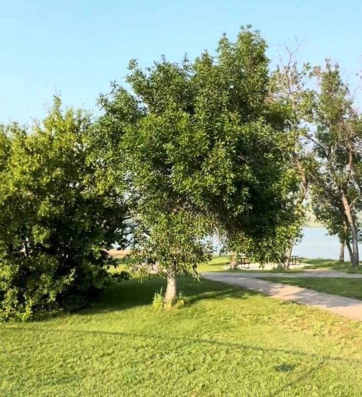 Buffalo Pound Provincial Park-穆斯乔必去景点