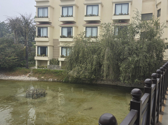 The Stellar Gymkhana主图